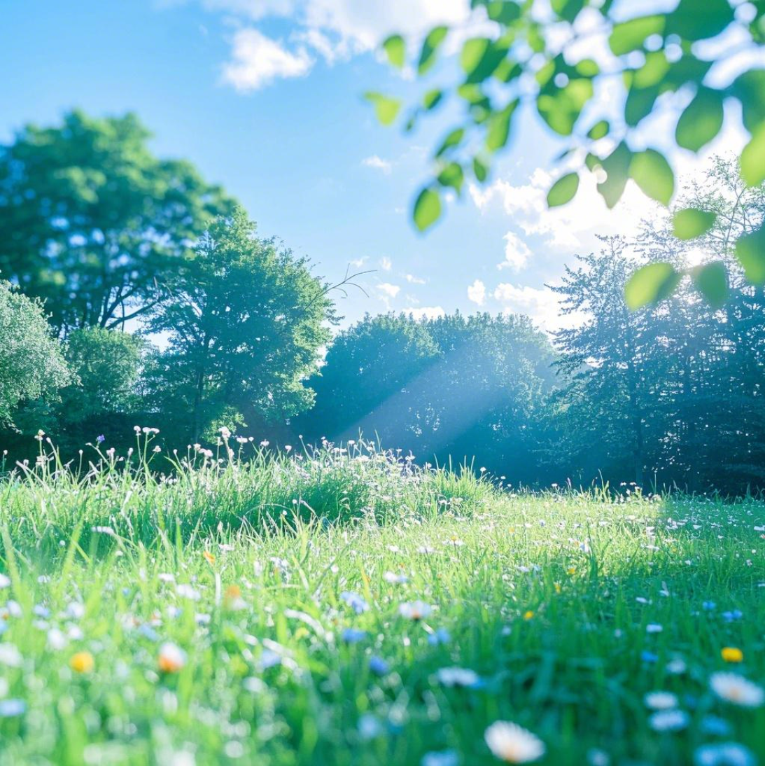 boxmoe_header_banner_img